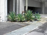 おせっかい