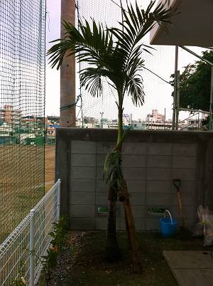 S様邸の植栽。