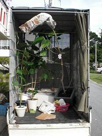 ダメだし