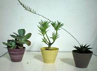 納品準備