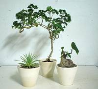 納品準備
