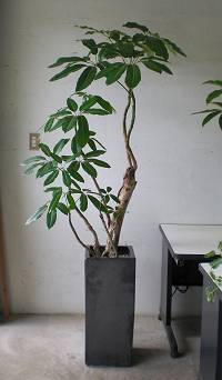 納品（低大・中・小）