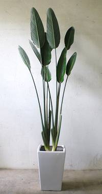 今日一日