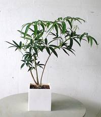 今日一日