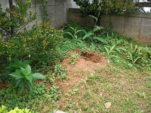 ただひたすらに・・・