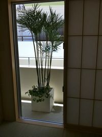 植物撤去にあたり・・・