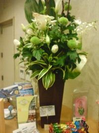 ロコイン松山の「花」 2010/03/02 03:36:44