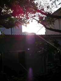 晴朝。 2011/02/07 08:17:36