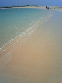 帰沖報告と質問 2011/06/21 15:45:06