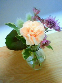 flower