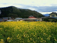 父の日 2011/06/19 21:59:12