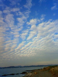 海と茶と私