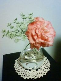 VD☆flower 2012/02/12 10:49:00