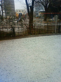 うるう年・本日雪。 2012/02/29 16:48:02