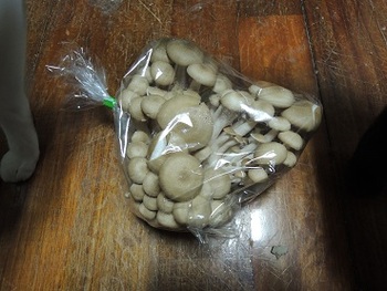 新鮮野菜。