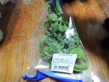新鮮野菜。