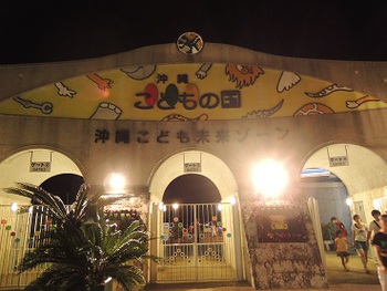 夜の動物たち