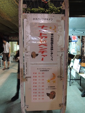 夜の動物たち　その２