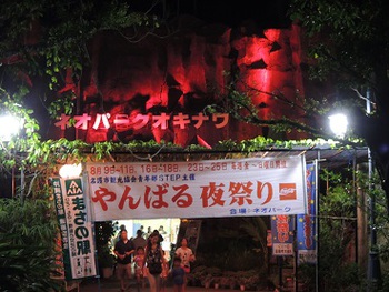夜の動物たち　その２