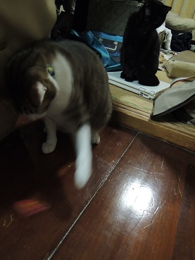 リハビリ。