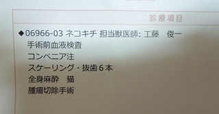 手術成功!!