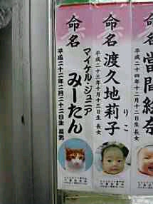 面白い。