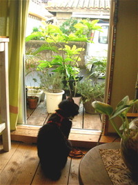 結構毛だらけ 2013/04/15 09:32:28