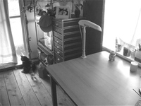 風邪なのかアレルギーなのか 2013/05/13 07:53:07