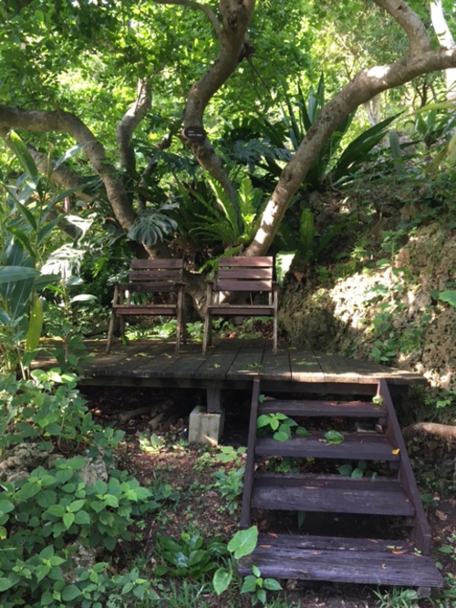 梅雨の晴れ間に山の茶屋