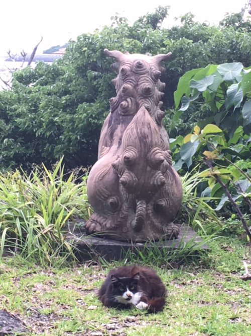 梅雨の晴れ間に山の茶屋