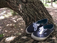 素足にvans authentic