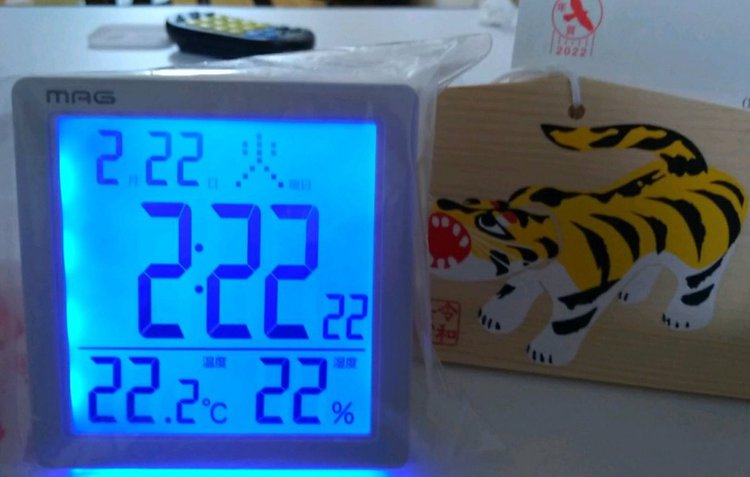 2月22日の2並びの写真。