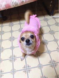 おふざけ(^^)