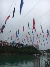 こいのぼり 2017/05/09 13:09:50