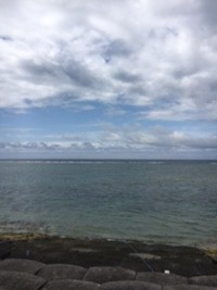 爆釣り 2017/05/09 13:57:15