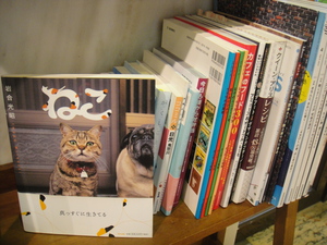カフェ、ミニ図書