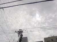 梅雨前？ 2017/05/11 11:56:49