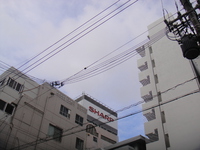 梅雨明けはいつ頃？ 2017/06/04 17:37:23