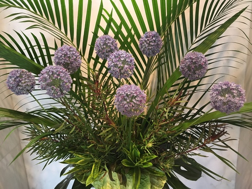 今週のロビーを彩る飾り花(^_^)