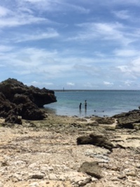 海の怖さ・・・ 2017/06/26 12:26:52
