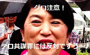 テロ共謀罪・・・ミズポ、まず共謀するなｗｗｗ