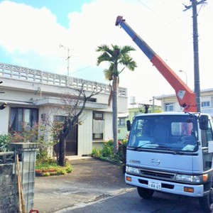 西原町ヤシの木伐採工事