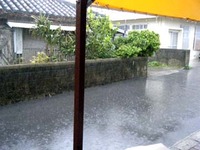 こんな日は
