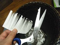 今更ですが。。。。