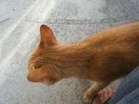ん？？