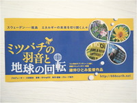 命の選択で洗濯