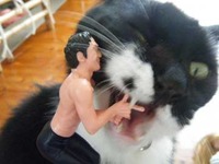 拉致られて２