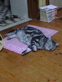 ライブだよ〜。 2010/07/10 15:28:58