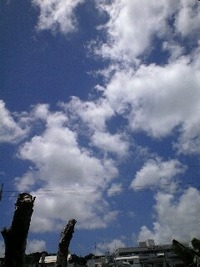 夏ですね 2010/06/29 12:18:58