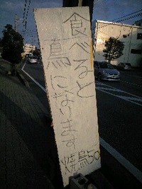 鳥になりたい....。 2010/11/04 21:47:34